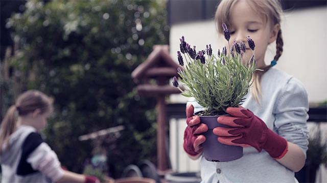 Mor og barn som planter en blomst i en potte.