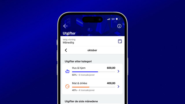 Mobilbank skjermbilde kategorisering