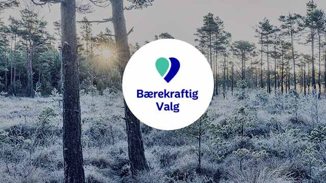 Skog med rim.